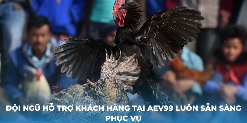 Đội ngũ hỗ trợ khách hàng tại AEV99 luôn sẵn sàng phục vụ